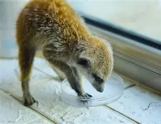 包含擥V鼬棫t??D??xr韠幍攛m修穋)輕/tY#譩翅摇的词条-金年会首页