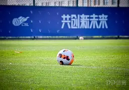 罗斯vs热火三巨头比赛回放-金年会网页版